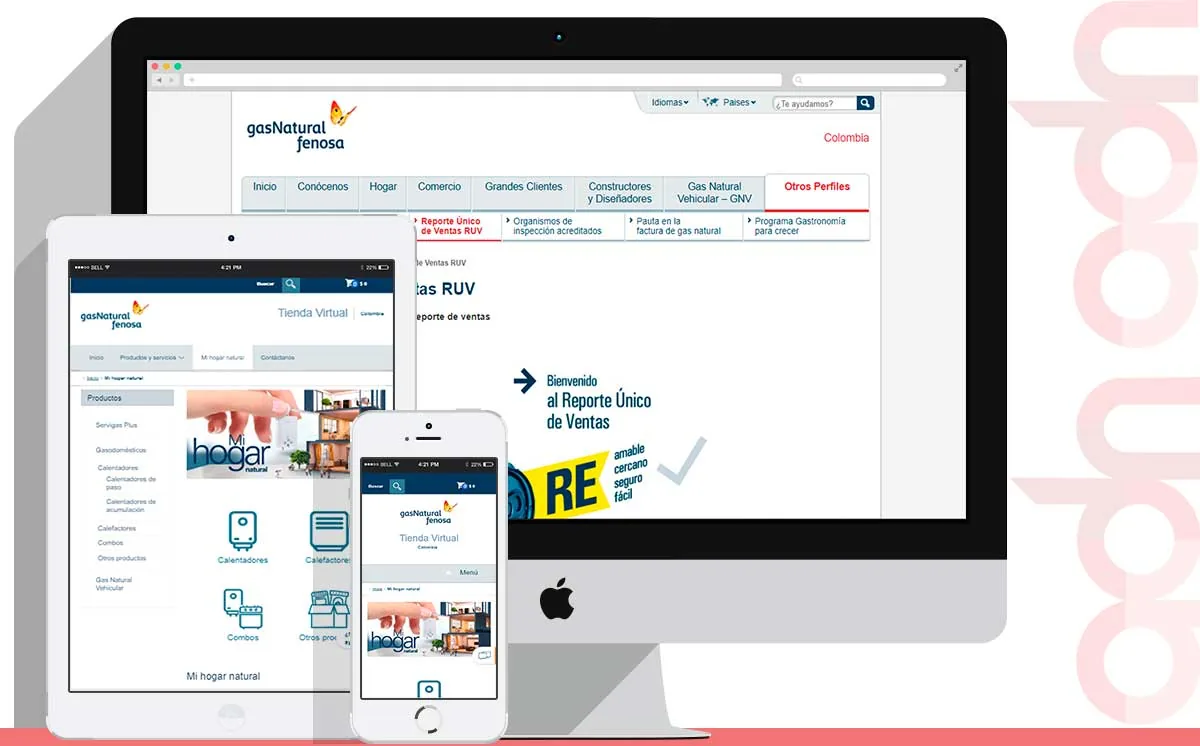Sitio web RUV desarrollado por ADN Digital